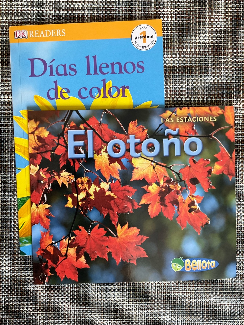 2 fall books in Spanish NWT